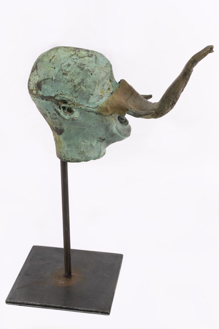 Fou Rire (l'éléphant)